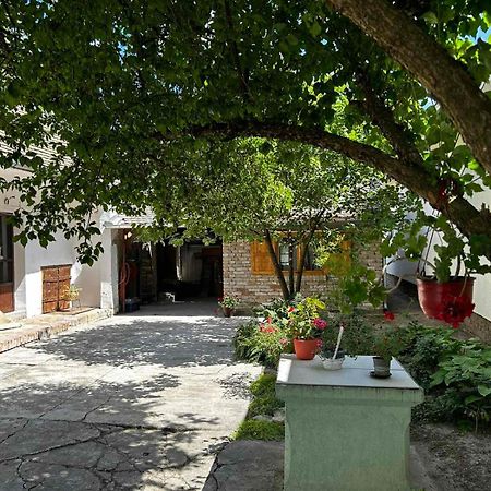 Oaza Mira Porodicna Kuca Za Opustanje Villa Apatin Exterior photo